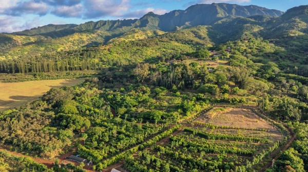 Aerial view of lush green farmland and mountains under a partly cloudy sky.
