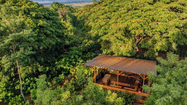 A wooden cabin with a slanted roof nestled among lush green trees.