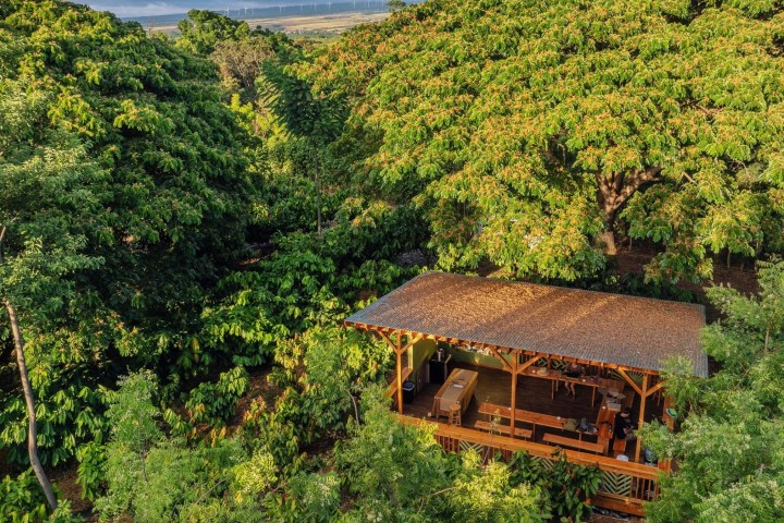 A wooden cabin with a slanted roof nestled among lush green trees.