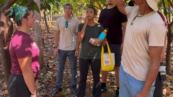 Group observing plants in a garden, one person pointing at leaves, wearing casual clothes and hats.