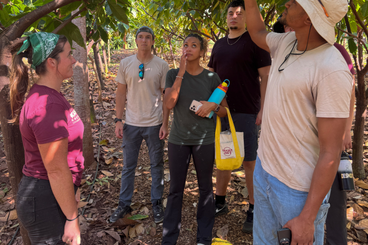 Group observing plants in a garden, one person pointing at leaves, wearing casual clothes and hats.