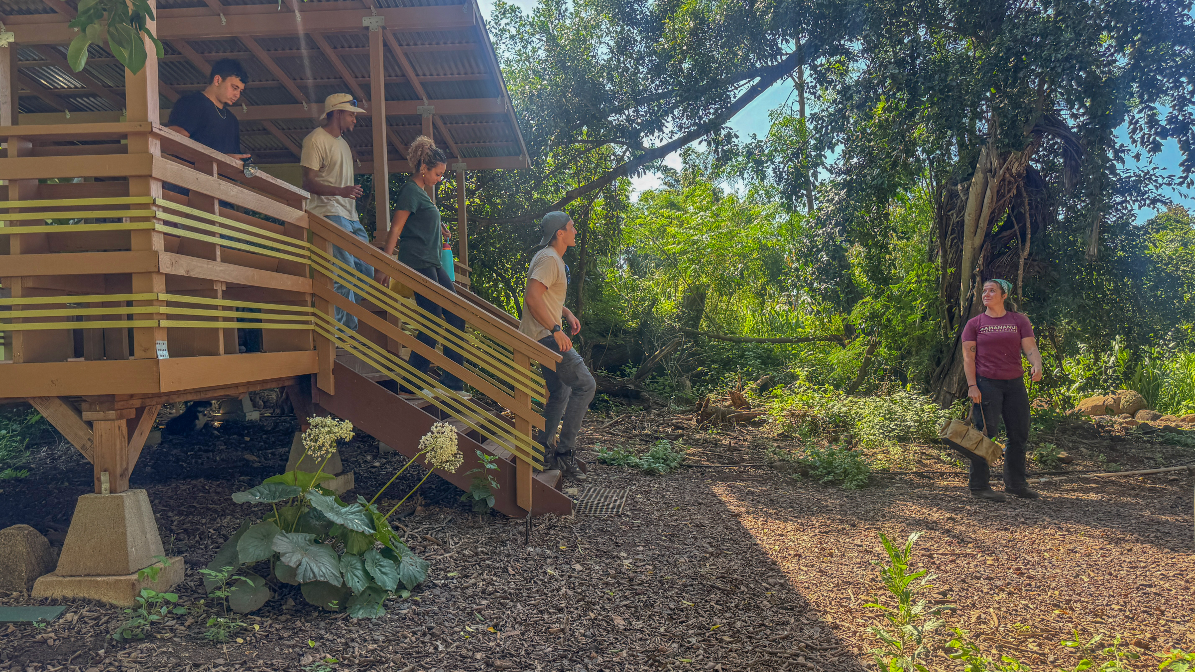Group of people walking down wooden steps surrounded by trees in a forest.