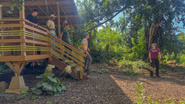 Group of people walking down wooden steps surrounded by trees in a forest.