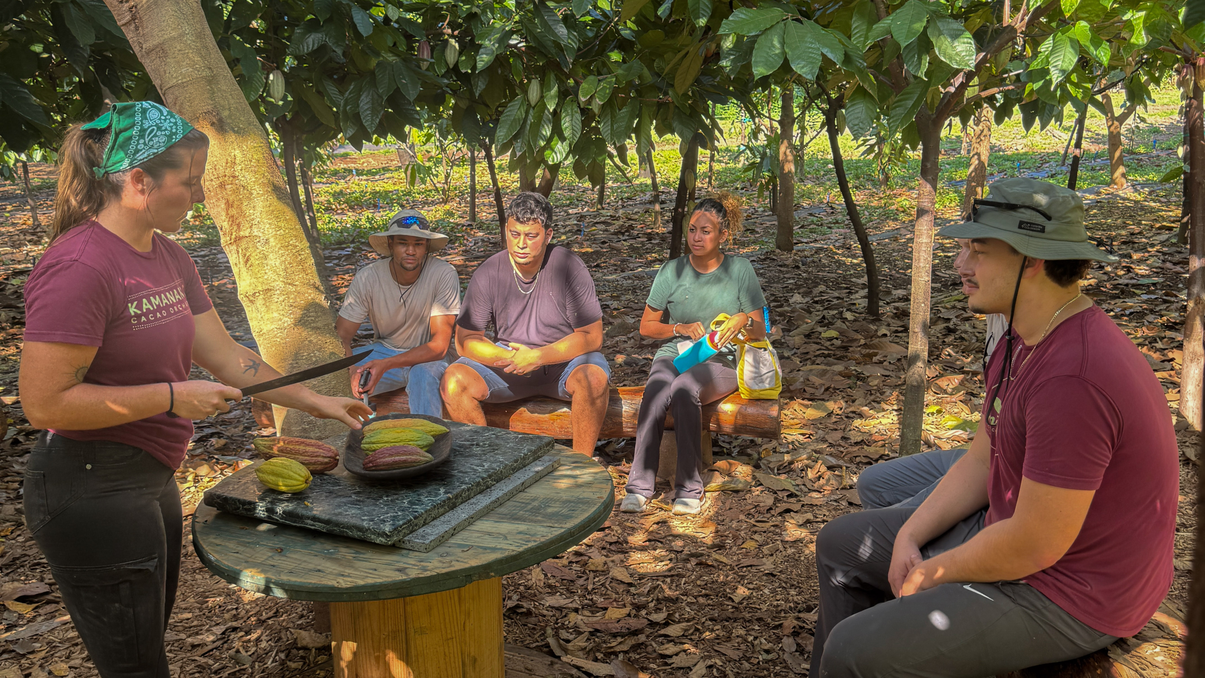 Group sitting under trees, woman explaining with cocoa fruits on table.